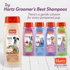Hartz Groomers Best 3 in 1 Conditioning Shampoo for Dogs
