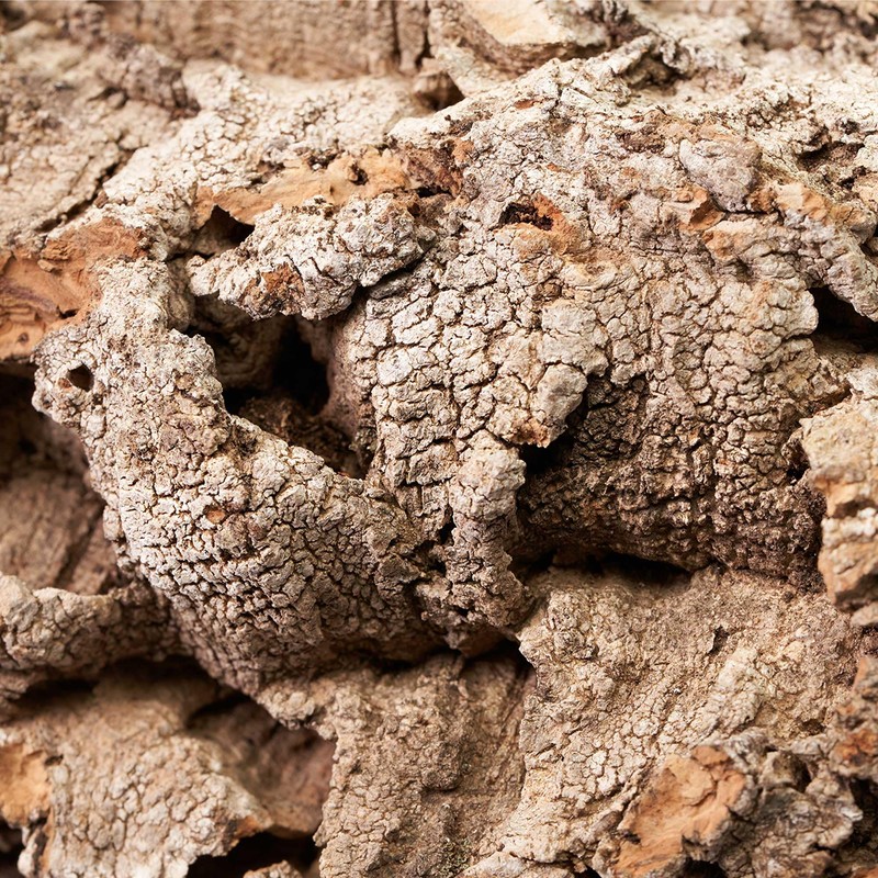 USCAPE Natural cork pieces for terrarium and paludarium, untreated cork
