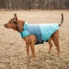 TOUCHDOG 'Lightening-Shield' Waterproof 2-in-1 with Removable Polar Fleece Lining Pet