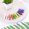 Clothes Pegs Small Colourful Wooden Pegs Mini - 3.5 cm
