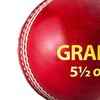 DSC Grade Leather Cricket Ball (Red, Club)| Water Proofed Leather