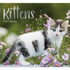 Kittens 2026 Full Size Wall Calendar for Planning, Scheduling, and