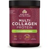 Ancient Nutrition Multi Collagen Protein Powder: Cucumber Lime Flavor, Hydrolyzed Collagen Peptides for Skin, Nails, and Joints - 18.7oz
