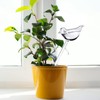 6Pcs Bird Shaped Plant Waterer Automatic Glass Bird Shape Design