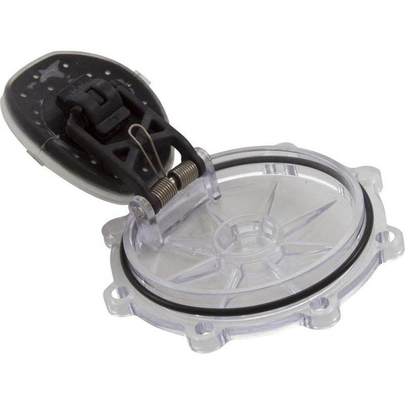 Pentair 263042Z 2-Inch 2-Way CPVC Check Valve Replacement Kit Diverter