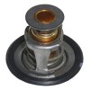 Termostato Buick Regal 3.1 1995 1996 Gm Parts