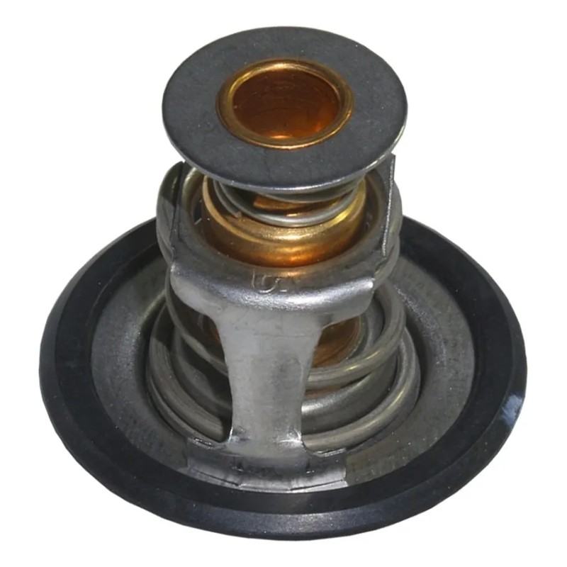 Termostato Buick Regal 3.1 1995 1996 Gm Parts