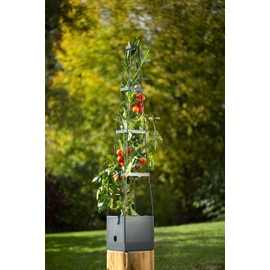 Meister Plant Tower 150 x 25 x 25 cm - For Tomatoes and Trellis - With Trellis - 2.5 L Water Tank as Irrigation System - Height Adjustable / Tomato Plant Tower / Trellis / Tomato Tower / 9970500