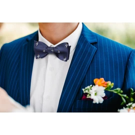 HISDERN Bow Ties for Men Navy Blue Self Bowties Square Animal Woven Silk Fun Penguin Bowtie Handkerchief Set for Wedding Party