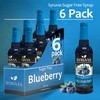 Sugar-Free Blueberry Syrup by Syruvia 6-Pack, 25.4 fl oz, Wholesale