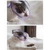 Transparent Cat Muzzles Cat Mouth Guard Helmet Adjustable Hood Breathable
