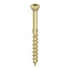 HECO-TOPIX-plus 3.5 x 40 Glass Beading Screw T-Drive TG A3L