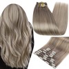 Full Shine Short Clip in Hair Extensions Human Hair Grey