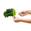Chef'n LooseLeaf Kale and Herb Stripping Tool with Herb Chopper,
