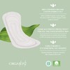 Organyc 100% Certified Organic Cotton Everyday Panty Liner - Flat,