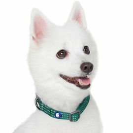 Blueberry Pet Essentials Reflective Better Basics Matching Dog Collar and Leash Set in Dark Green, Adjustable Collar with 4 ft Leash for Large Dogs