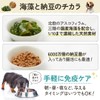 ワンちゃんの腸活＆免疫ケア！マリウェル【海藻・納豆・乳酸菌・ビール酵母配合】正規品｜皮膚・毛並み・高齢犬サポート【犬用サプリ】Mariwell 腸内フローラを整え便秘にも アスコフィラムノドサム