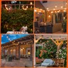GvvooHome 36 Pack S14 LED Bulbs for Outdoor String Lights,