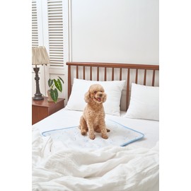 Dog glacier cooling pet dog cool cushion dog Duragon mat small dog / 강아지 빙하 쿨링 펫 애견 쿨방석 반려견 듀라곤매트 소형견