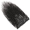 Luovce Clip in Hair Extensions Real Human Hair Kinky Curly