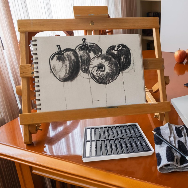24 Pro Charcoal Drawing Set, Premium Compressed Charcoal Sticks with