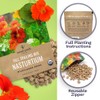 Nasturtium Seeds – Mixed Colors – Extra Large Packet –