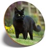 1 x Hunting Black Cat Kitten Pet - Round Coaster