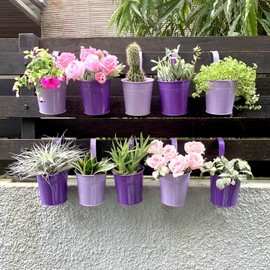 Macetas Colgantes Para Plantas - Paquete De 10, Macetas De Metal De 4 Pulgadas Para Plantas Con Drenaje, Jardineras De Cerca De Barandilla De Jardín De Balcón, Suculentas Pequeñas, macetas de flores