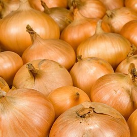 Walla Walla Onion Garden Seeds - 1000 Seeds - Non-GMO, Heirloom Vegetable Gardening Seed