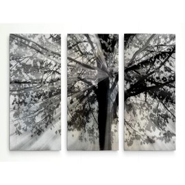 WEXFORD HOME Story from Light and Shadow 3 Panel Gallery Wrapped Canvas Wall Art, 32x48