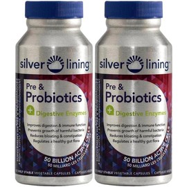 Silver Lining Pre & Probiotics + Digestive Enzymes | 50 Billion CFU/Active Cells | Digestion, Gut Health & Immune Function Support, Reduces Bloating | Shelf-Stable Formula | 120 Servings, 240 Capsules (Pack of 2)
