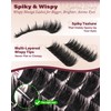 Manga Lash Clusters with Spikes Wispy Eyelash Clusters CD Curl