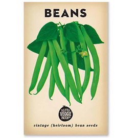 The Little Veggie Patch Co Beans Heirloom Seeds, 1 pack