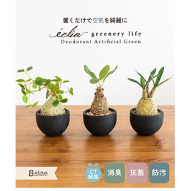 Fake Green Glacilis Codex Eklia Greenery Life Deodorizing Artificial Green Gracilius Small 1 Piece