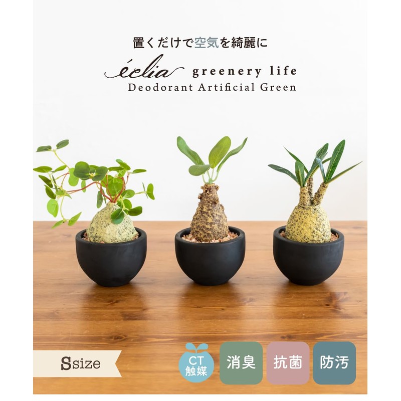 Fake Green Glacilis Codex Eklia Greenery Life Deodorizing Artificial Green