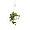 Scheurich Cottage Cotton Hanging Basket Length 56 cm & Ceramic,