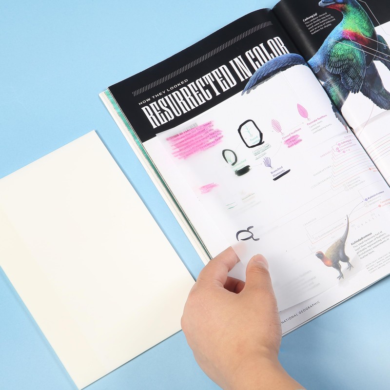 Mr. Pen- Transparent Sticky Notes, 5"x7", 200 Sheets, White, See