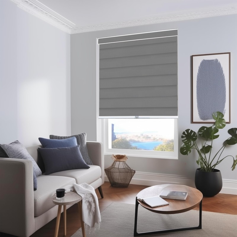 CHICOLOGY Zebra Blinds , Roller Window Shades , Blinds for