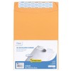 Mead Envelopes, Letter Size 9" x 12", Press-It Seal-It Self