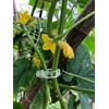 AUVSTAR Plant clips, melon clips, plastic clips, clips, for hanging