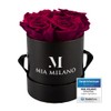 Mia Milano Infitnity Roses in Box I Black Rose Box