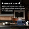 Choyong A8W Portable Smart Internet Radio Receiver WIFI/4G Speaker with