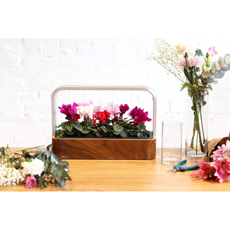 edn SmallGarden Grow Your Own SeedPods - 10 Pack