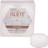 Root Candles 131015 Unscented Beeswax Blend Tealight Candles in Clear