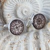 Compass Cufflinks