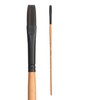 Princeton Catalyst, Series 6400, Long-Handle Synthetic Polytip Bristle Paint Brush,
