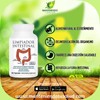 Limpiador Intestinal, with Senna Leaf, 90 Capsules Dietary Supplement