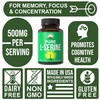 Peak Performance L-Serine Capsules 500mg Best Brain and Nootropic Amino