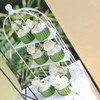 Volein Paper Muffin Cases Pack of 50 Cupcake Moulds for