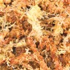 Trixie Sphagnum Moss Tropical Terrarium Substrate Brick, 4.5 Liter